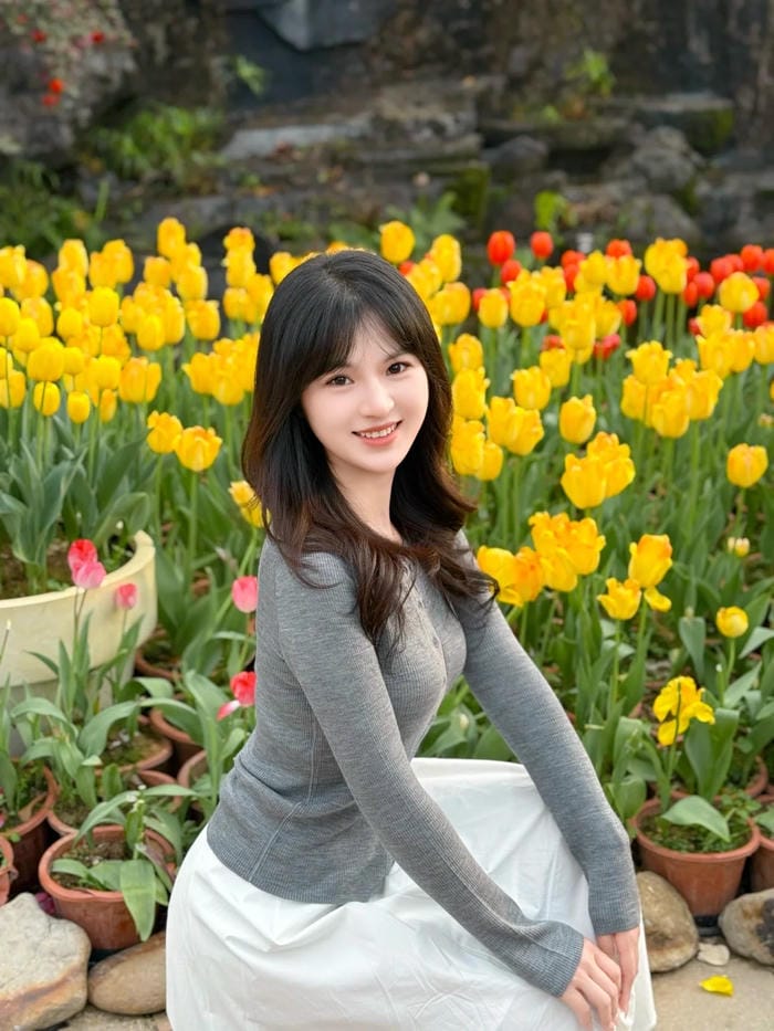 ảnh vườn hoa tulip 11