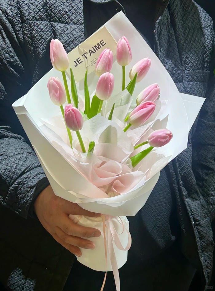 ảnh vườn hoa tulip 15