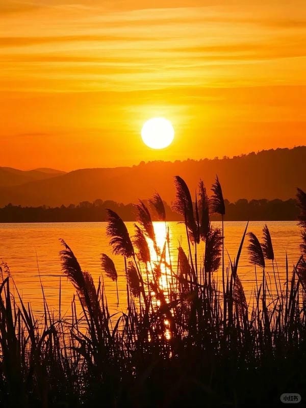 bầu trời ảnh hoàng hôn 15