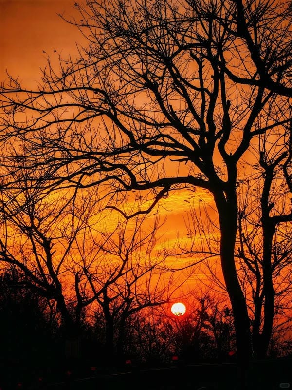 bầu trời ảnh hoàng hôn 5