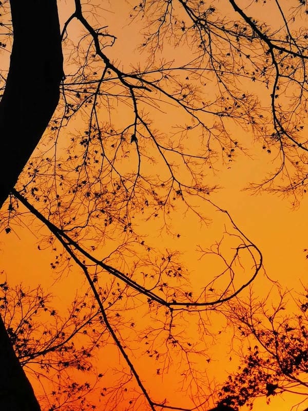 bầu trời ảnh hoàng hôn 7