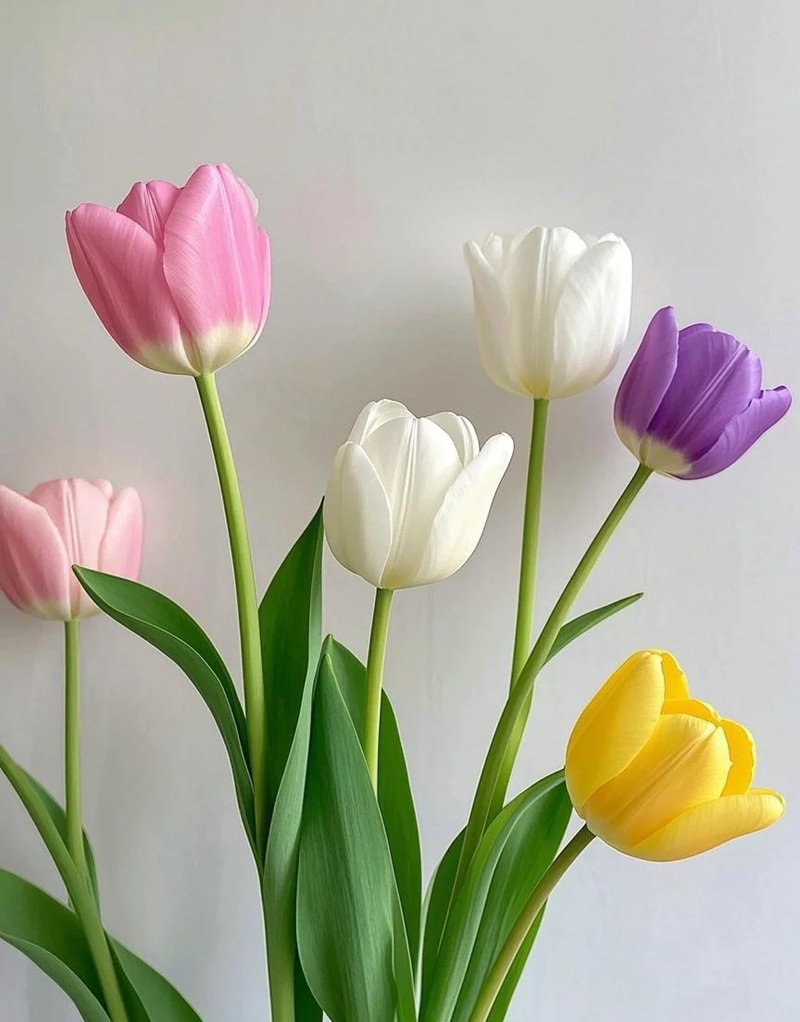 bộ sưu tập ảnh hoa đẹp 23