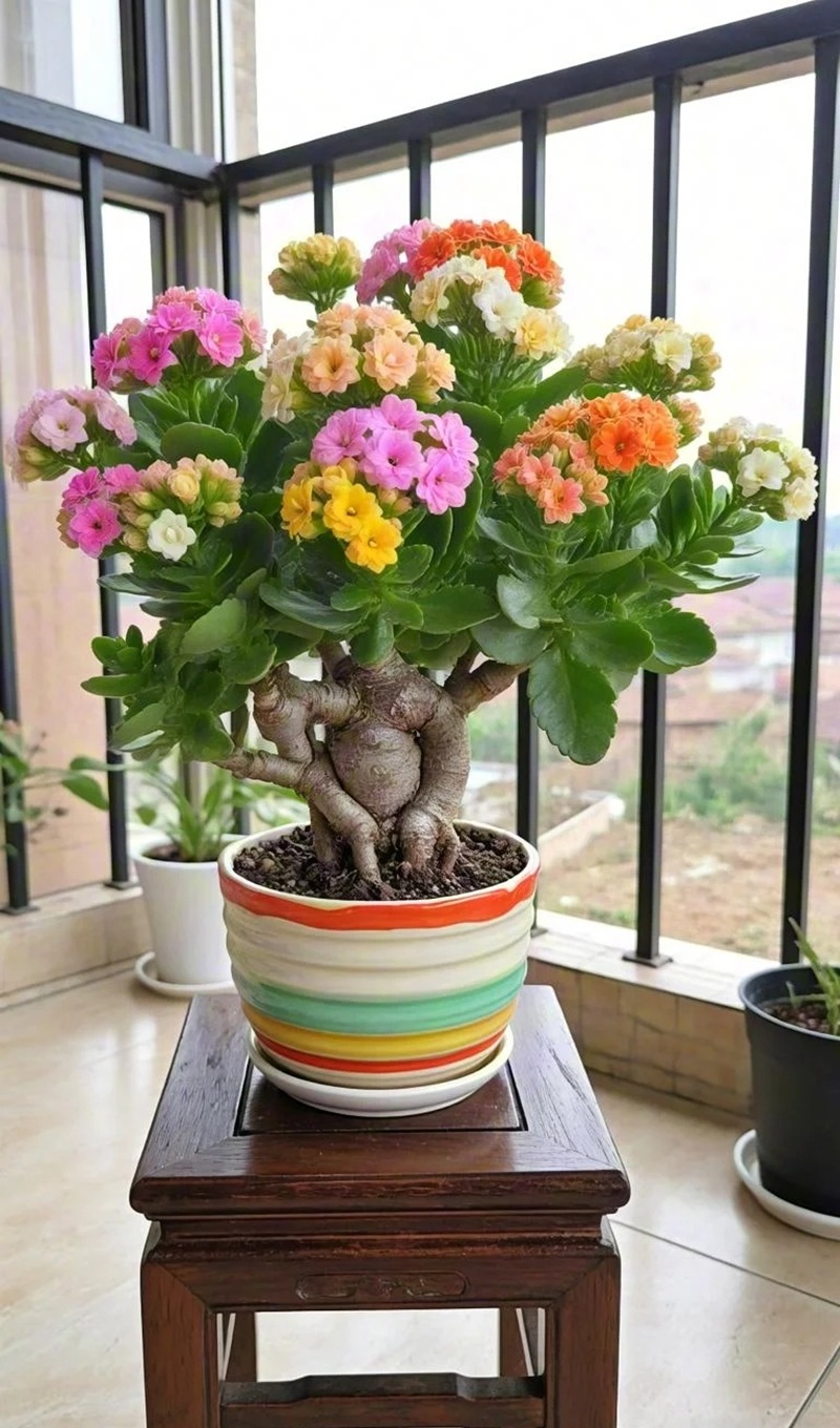 bộ sưu tập ảnh hoa đẹp 39