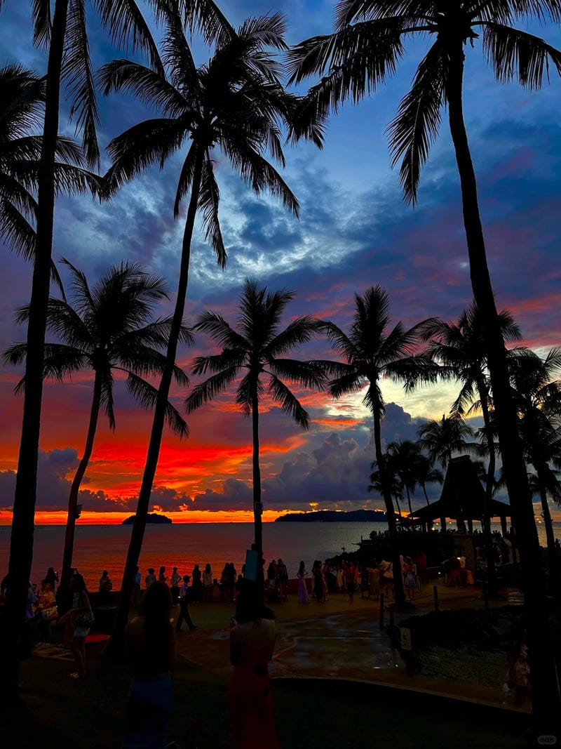 hình ảnh biển hoàng hôn 16