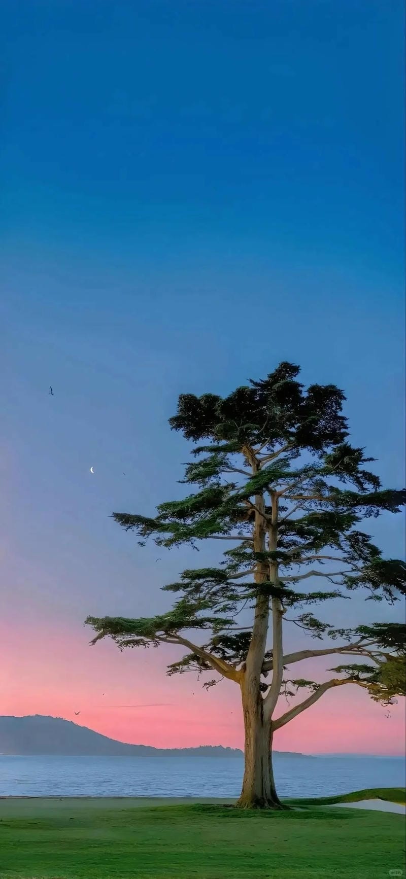 hình ảnh biển hoàng hôn 25