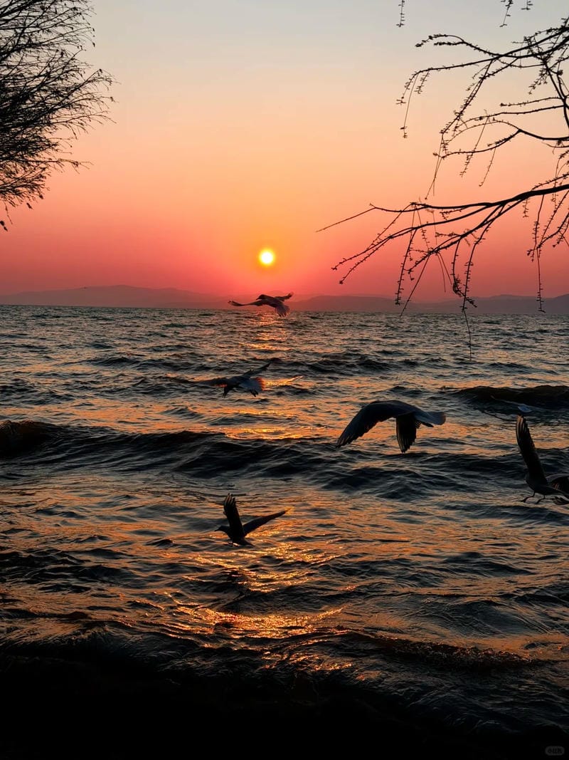 hình ảnh biển hoàng hôn 29