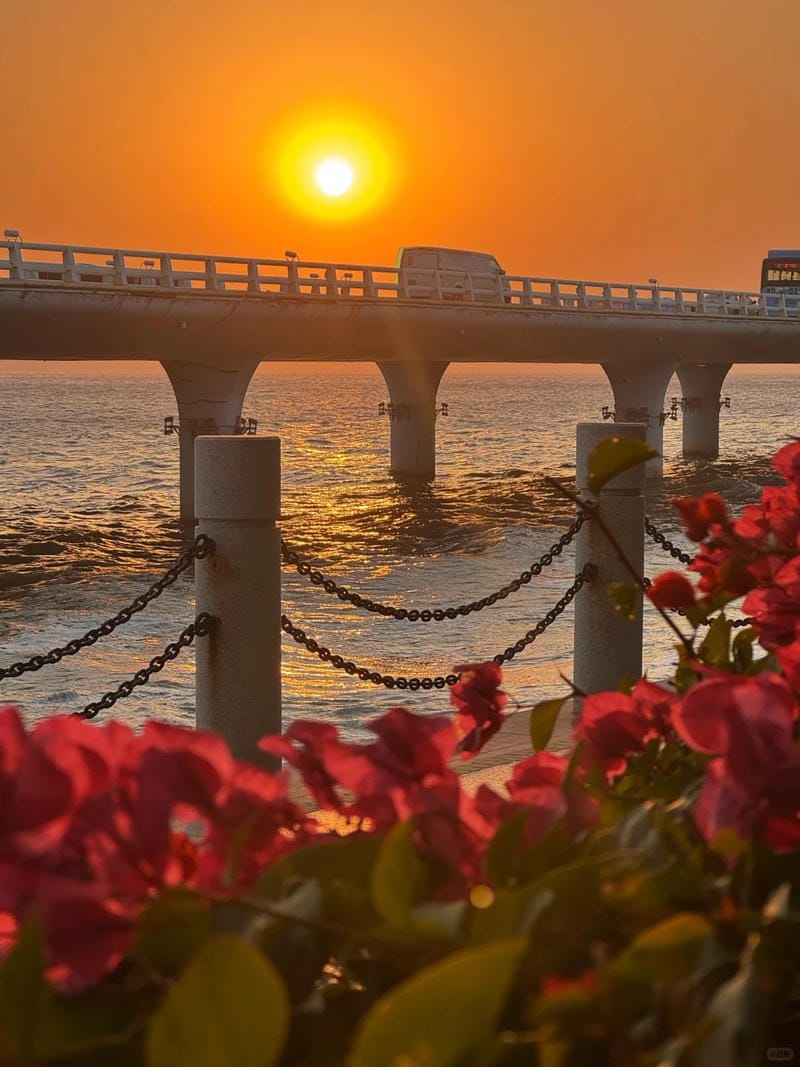 hình ảnh biển hoàng hôn 5