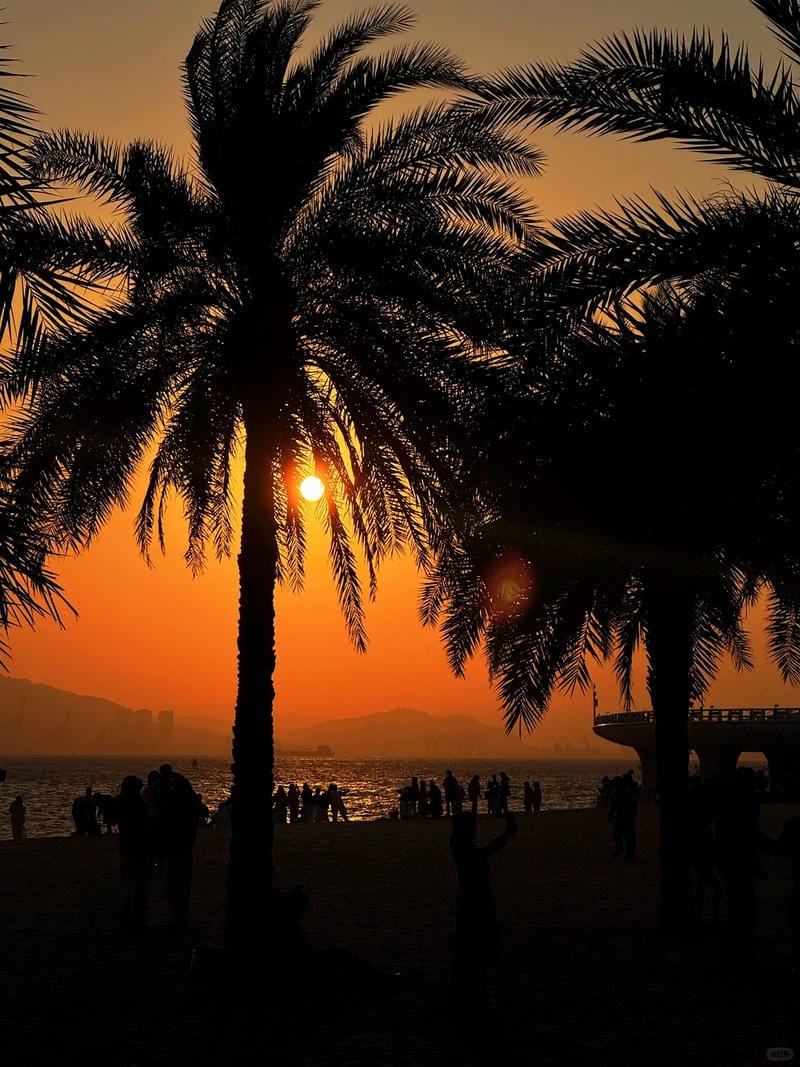 hình ảnh biển hoàng hôn 6