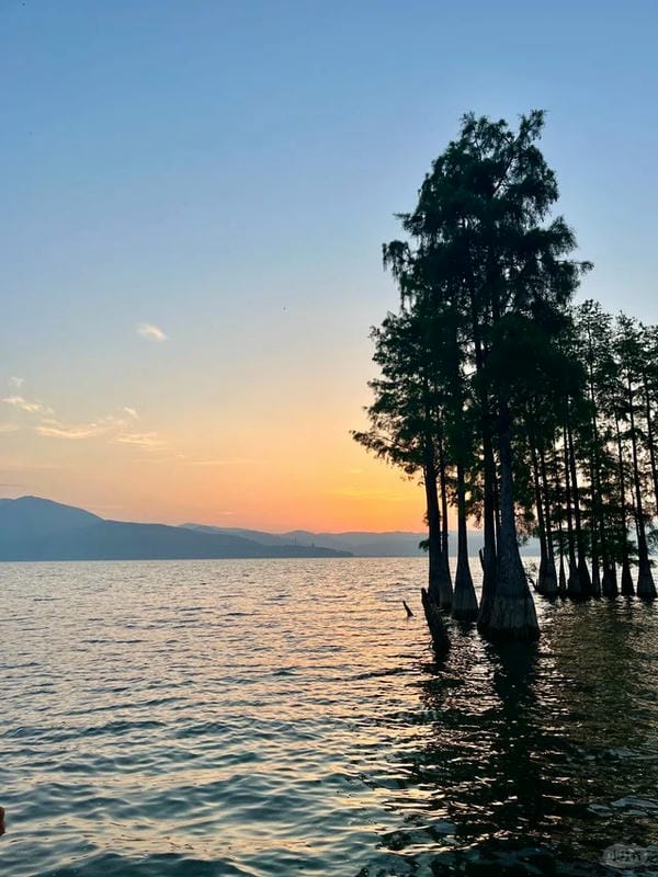 hình ảnh bình minh​ 1