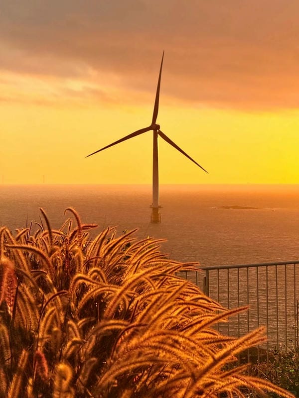 hình ảnh bình minh​ 16