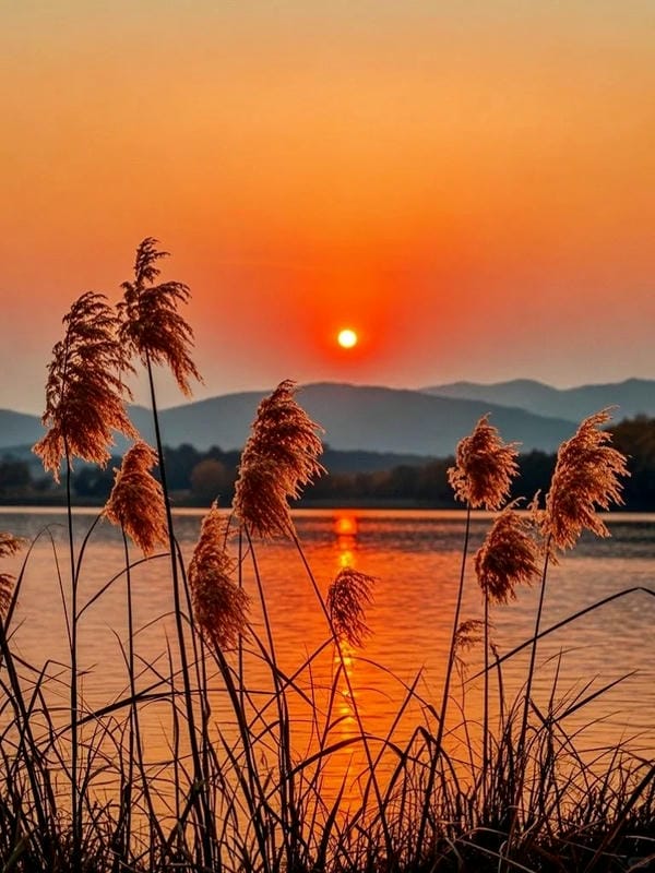 hình ảnh bình minh​ 18