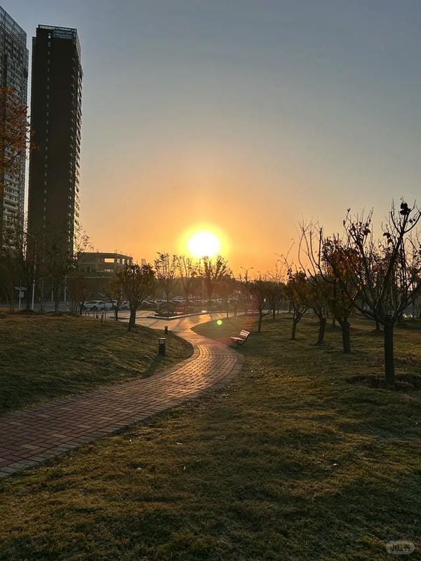 hình ảnh bình minh​ 27