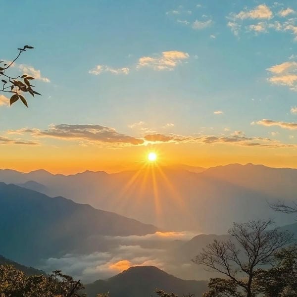 hình ảnh bình minh​ 29