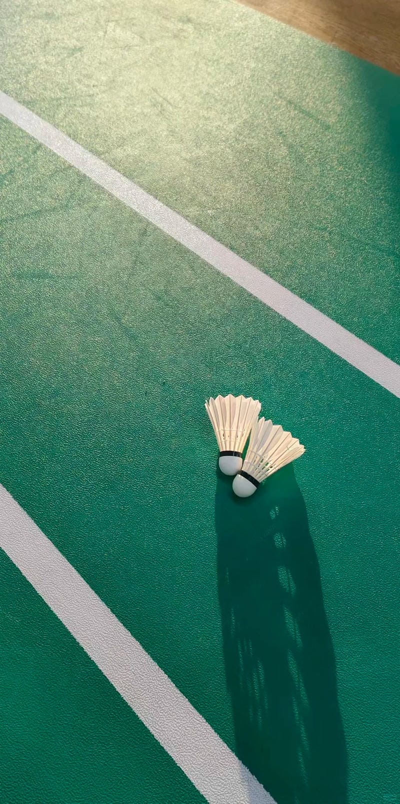 hình ảnh cầu lông đẹp nhất 1