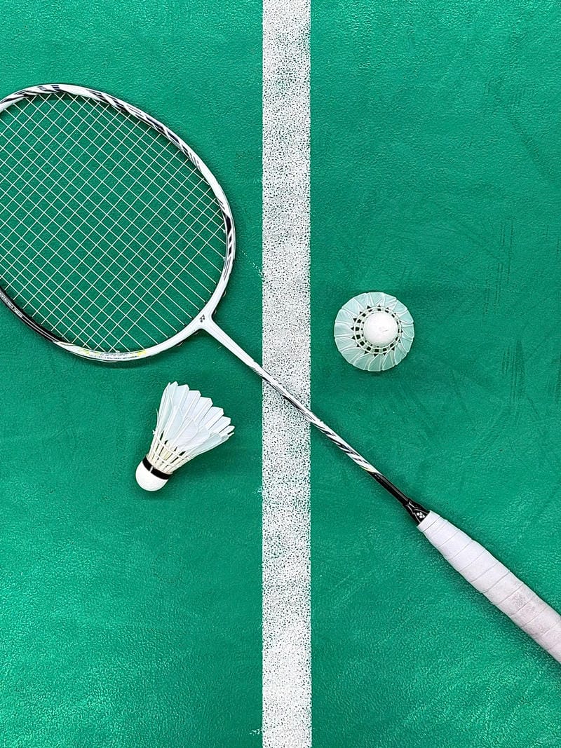 hình ảnh cầu lông đẹp nhất 11