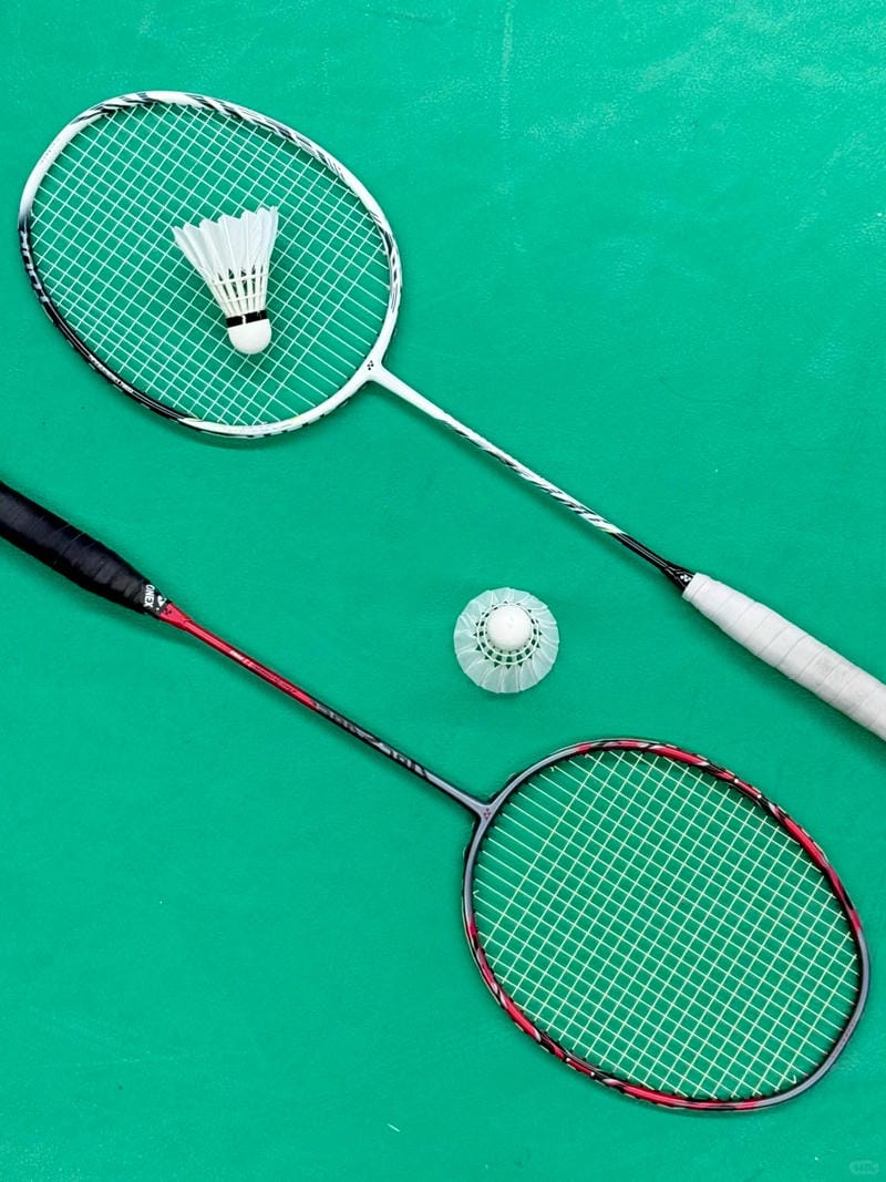 hình ảnh cầu lông đẹp nhất 12