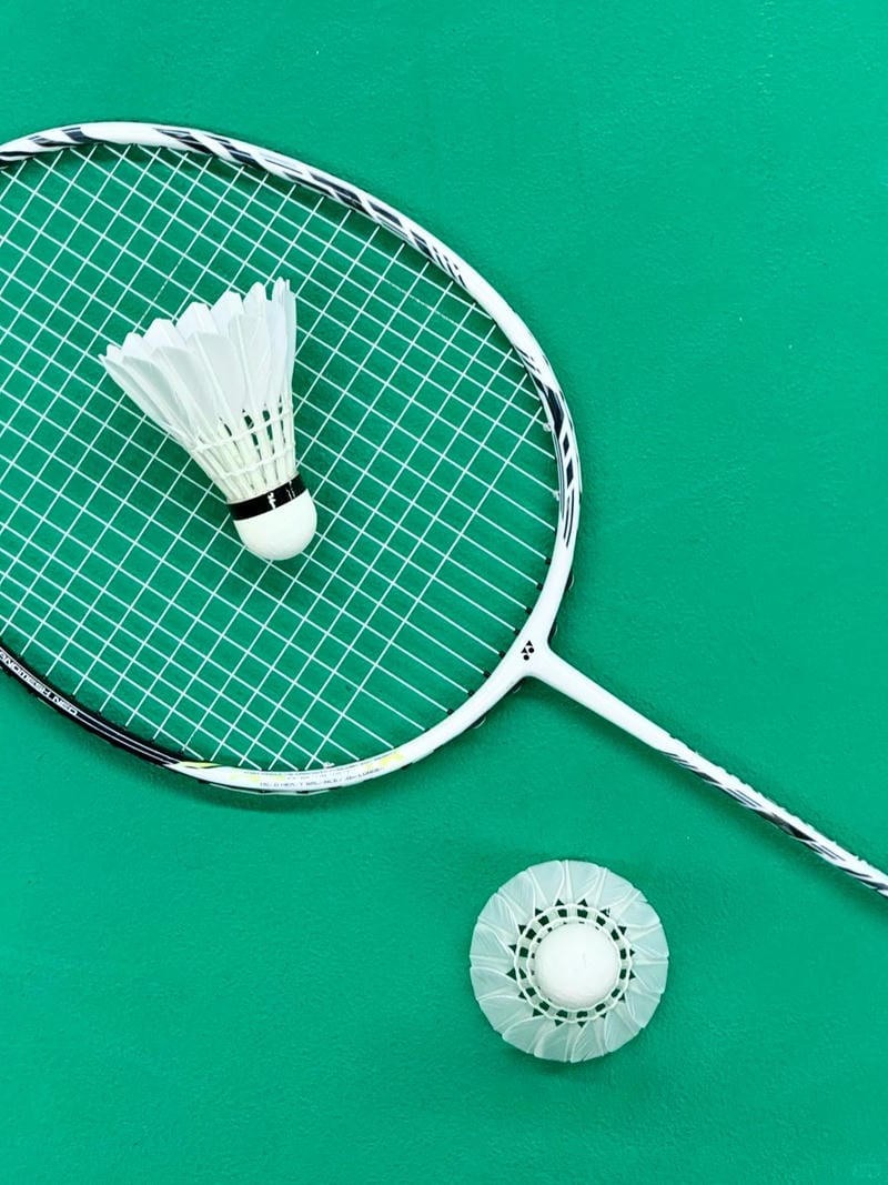 hình ảnh cầu lông đẹp nhất 13