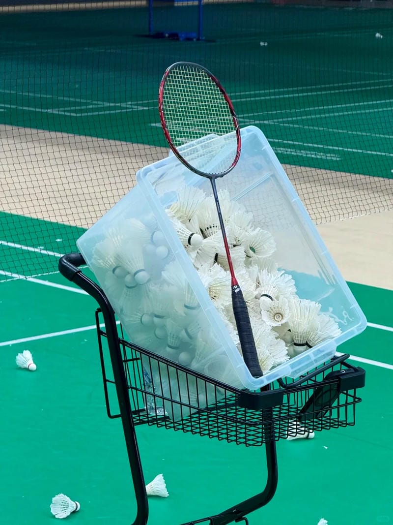 hình ảnh cầu lông đẹp nhất 14