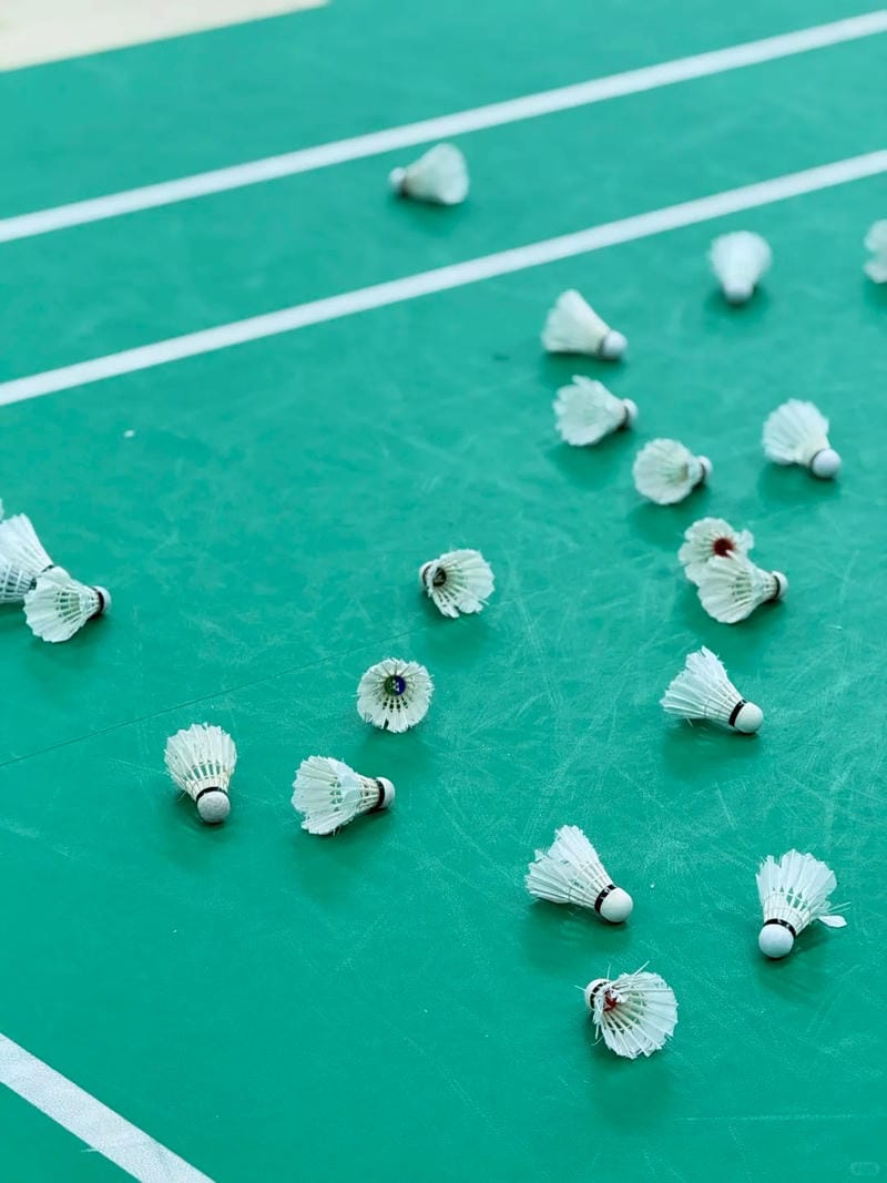 hình ảnh cầu lông đẹp nhất 15