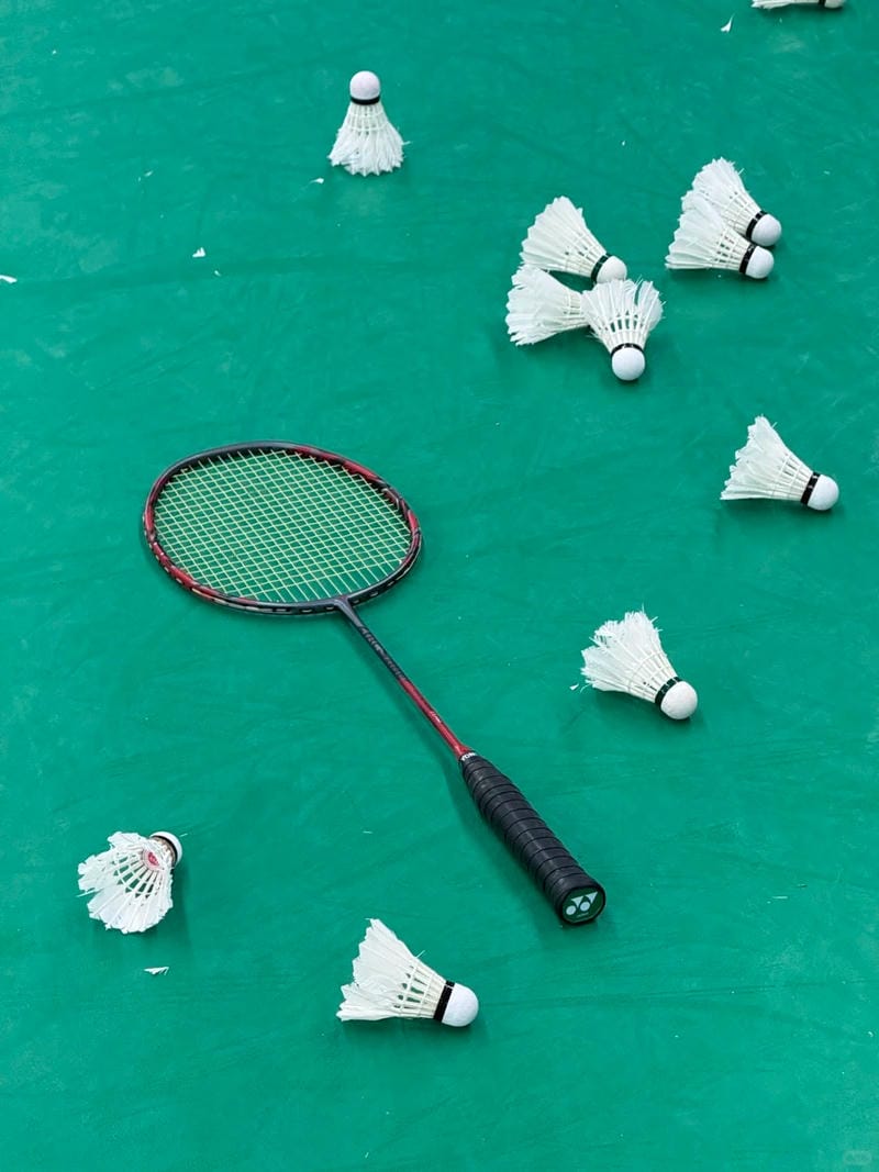 hình ảnh cầu lông đẹp nhất 16