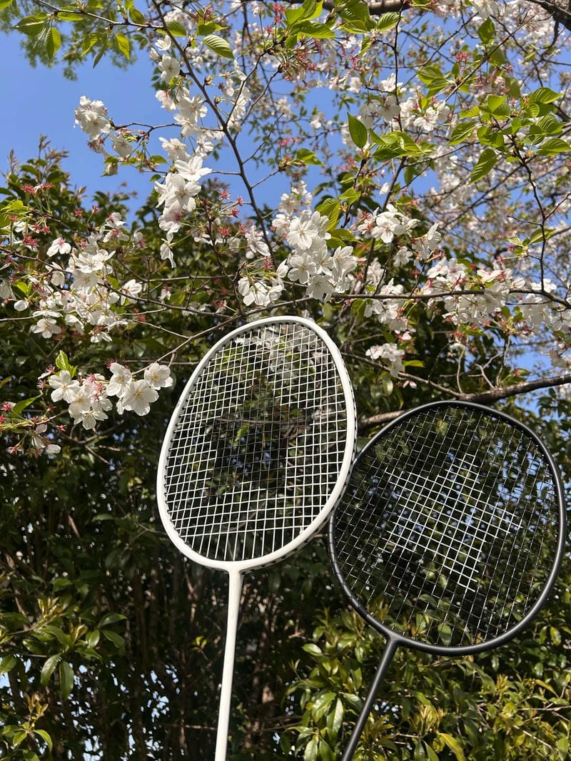 hình ảnh cầu lông đẹp nhất 17