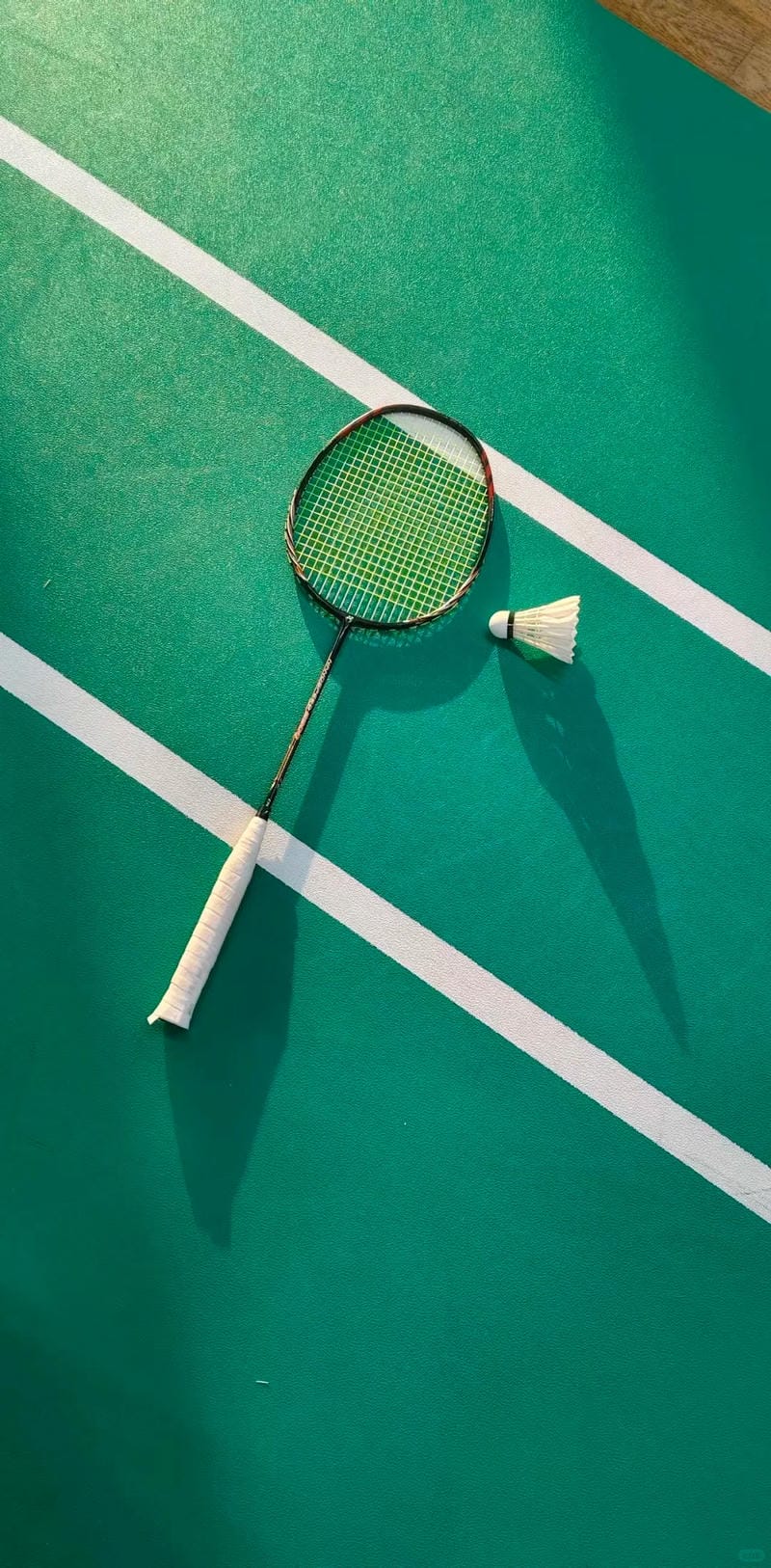 hình ảnh cầu lông đẹp nhất 2