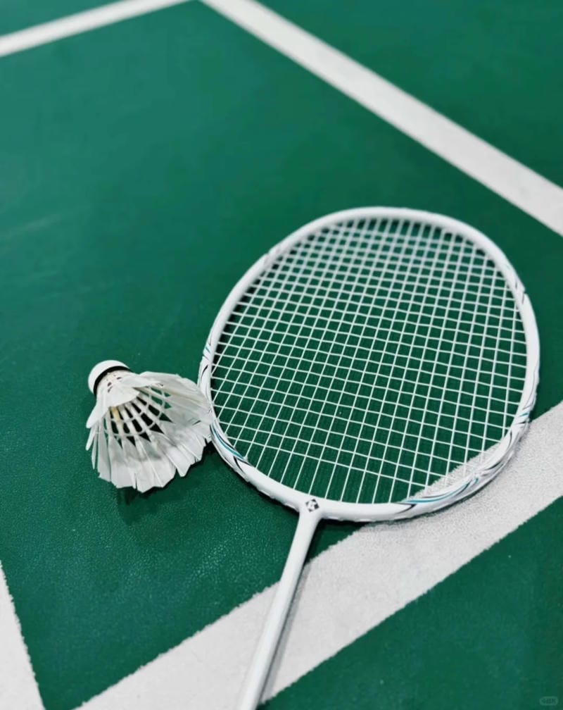 hình ảnh cầu lông đẹp nhất 21