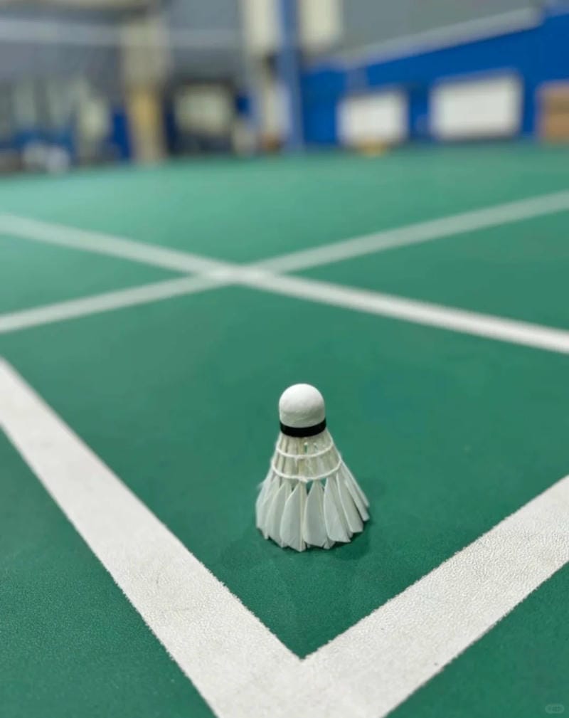 hình ảnh cầu lông đẹp nhất 22