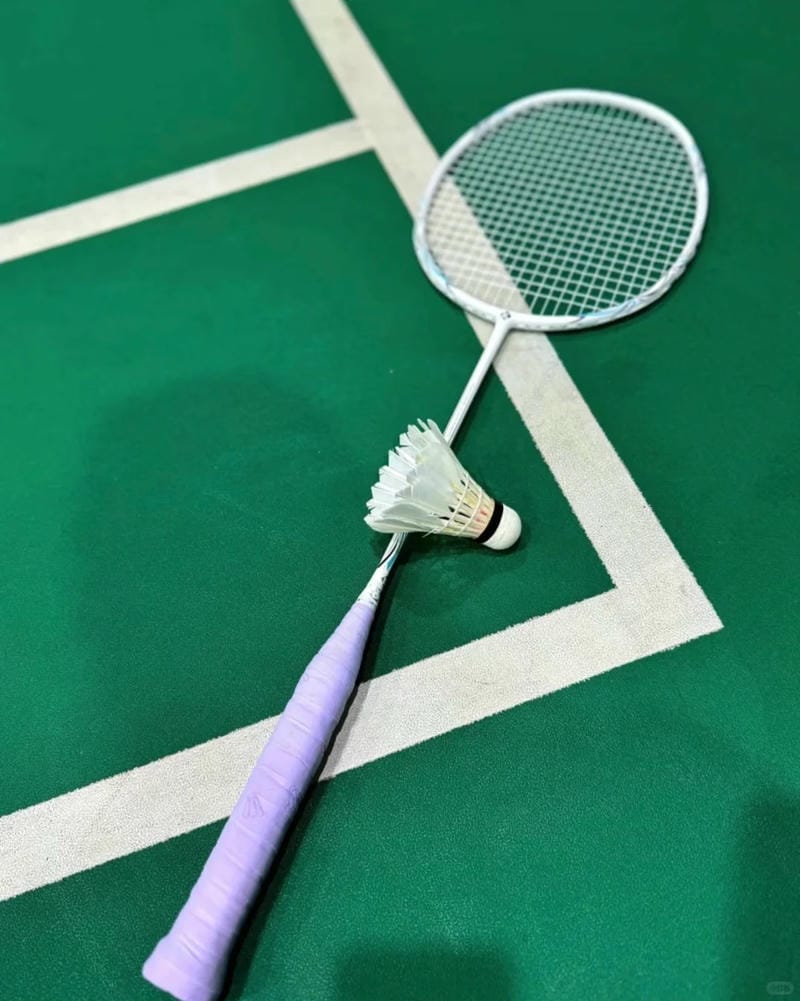 hình ảnh cầu lông đẹp nhất 23