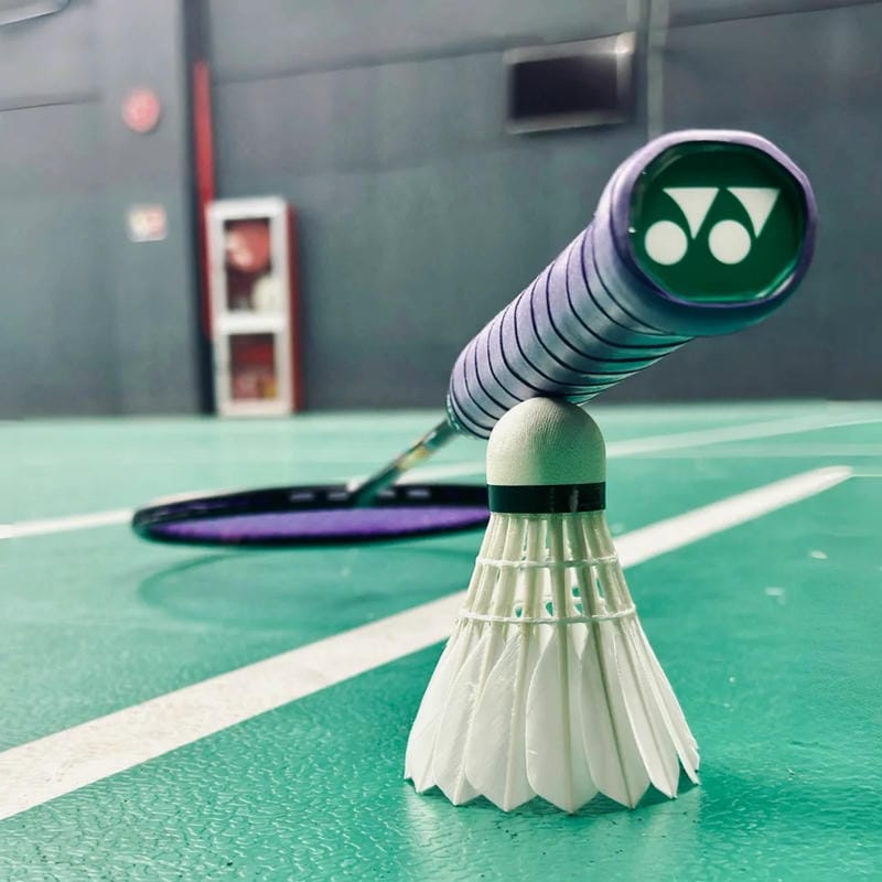 hình ảnh cầu lông đẹp nhất 24