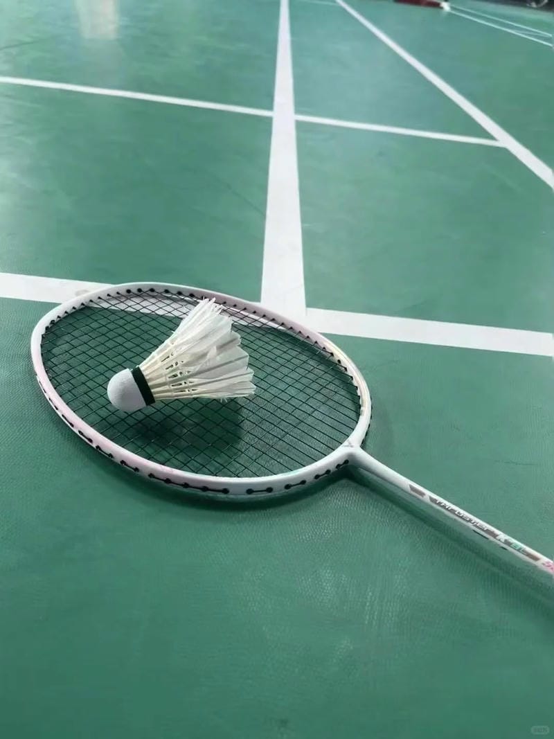 hình ảnh cầu lông đẹp nhất 27