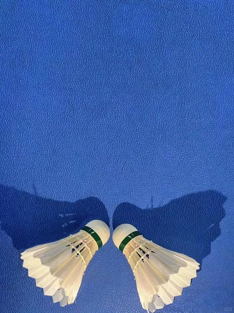 hình ảnh cầu lông đẹp nhất 28