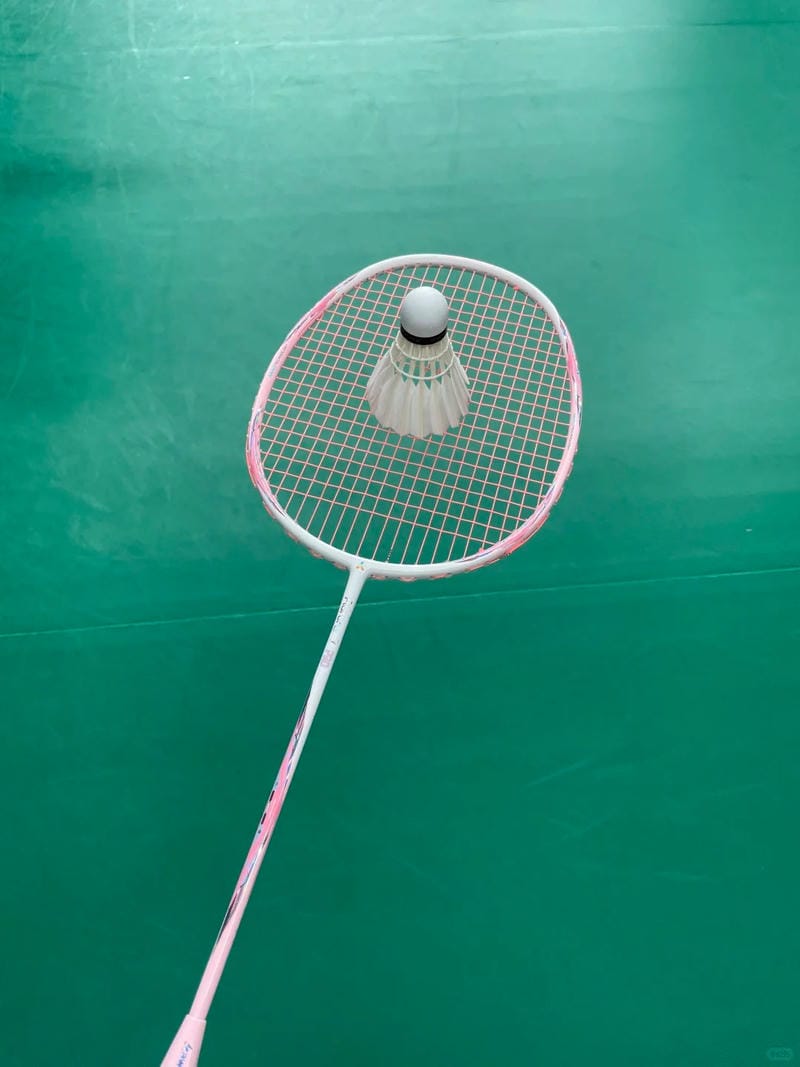 hình ảnh cầu lông đẹp nhất 3