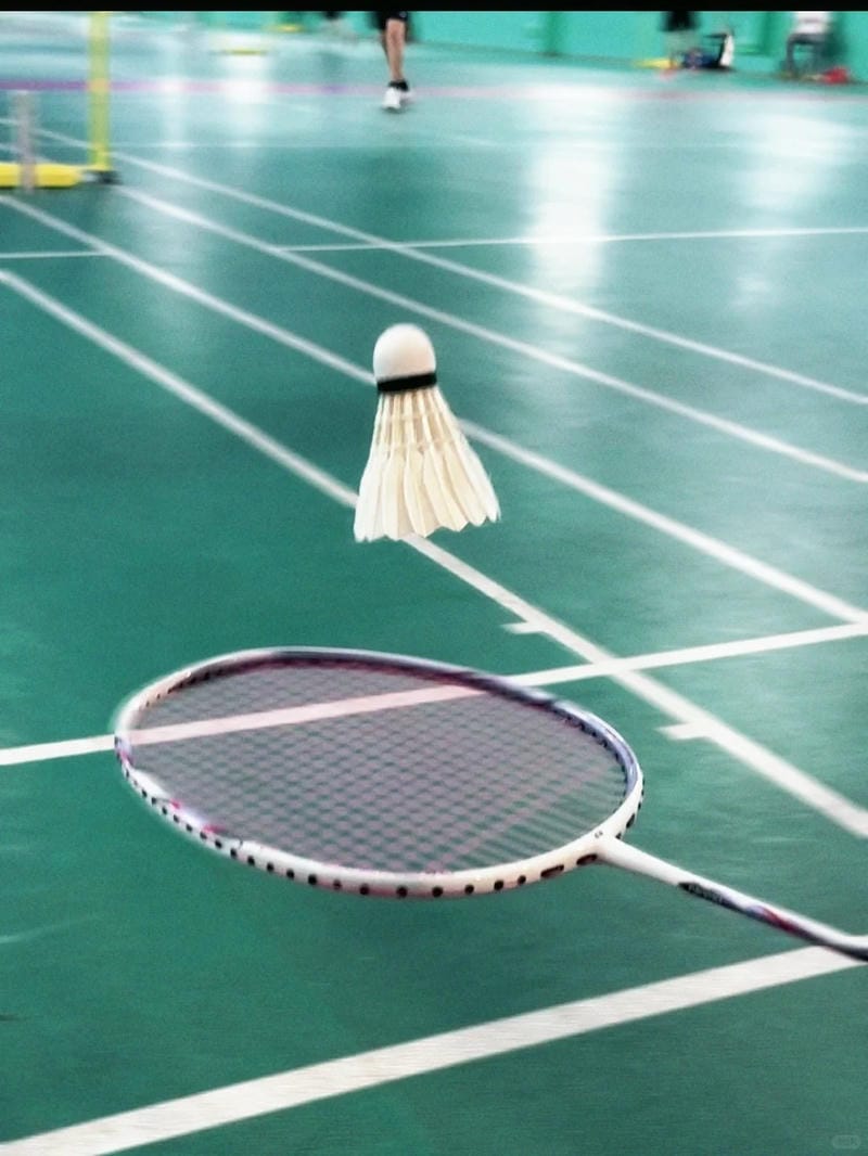 hình ảnh cầu lông đẹp nhất 34