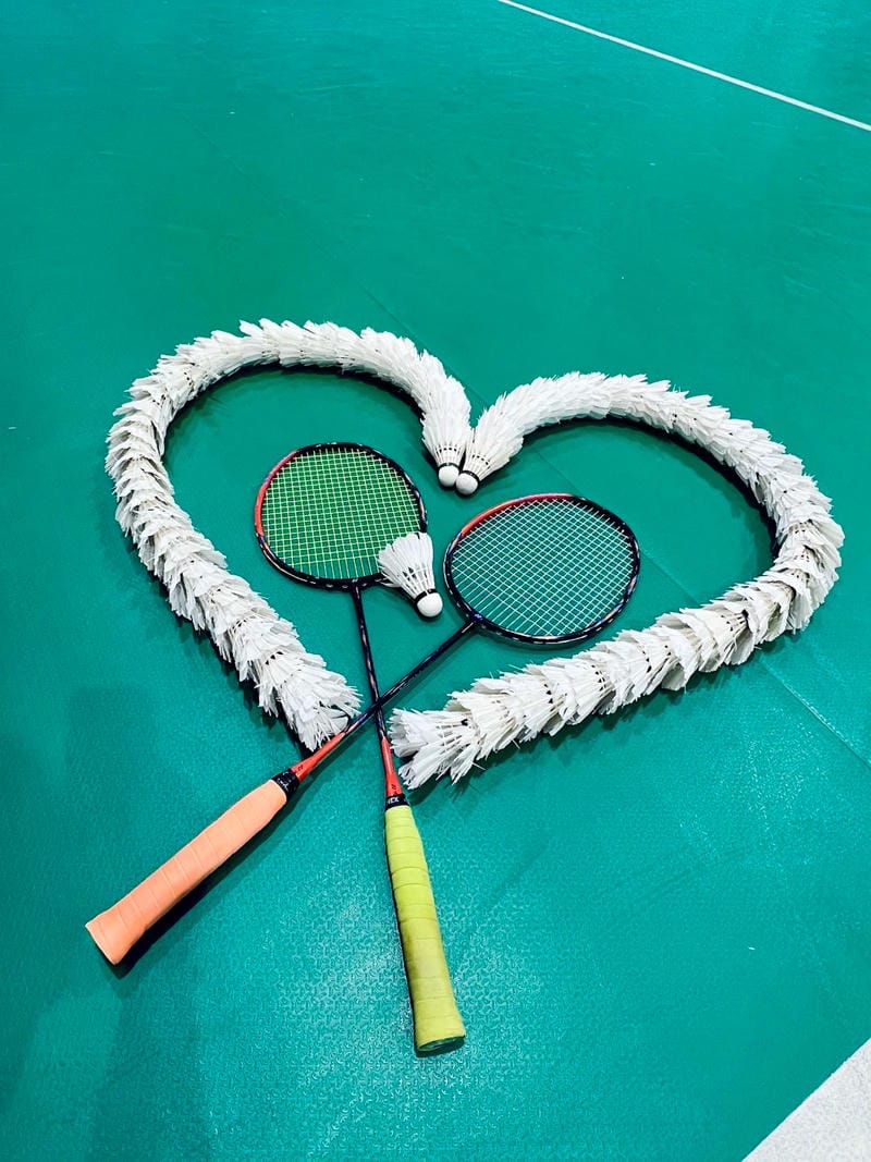 hình ảnh cầu lông đẹp nhất 4