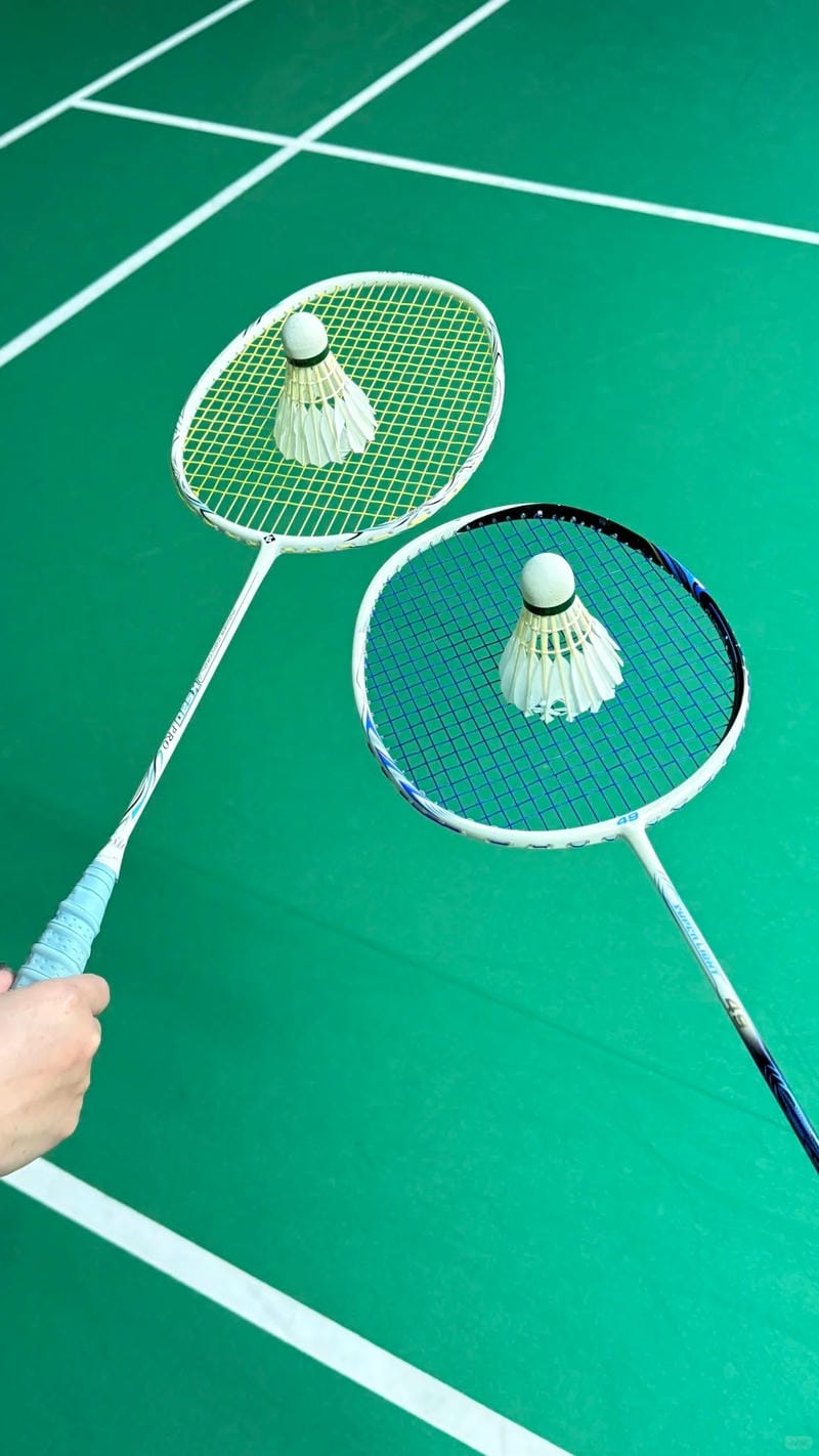 hình ảnh cầu lông đẹp nhất 6