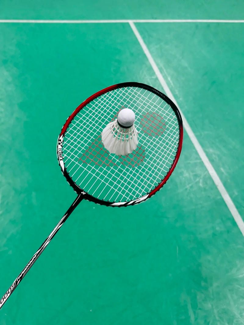 hình ảnh cầu lông đẹp nhất 7