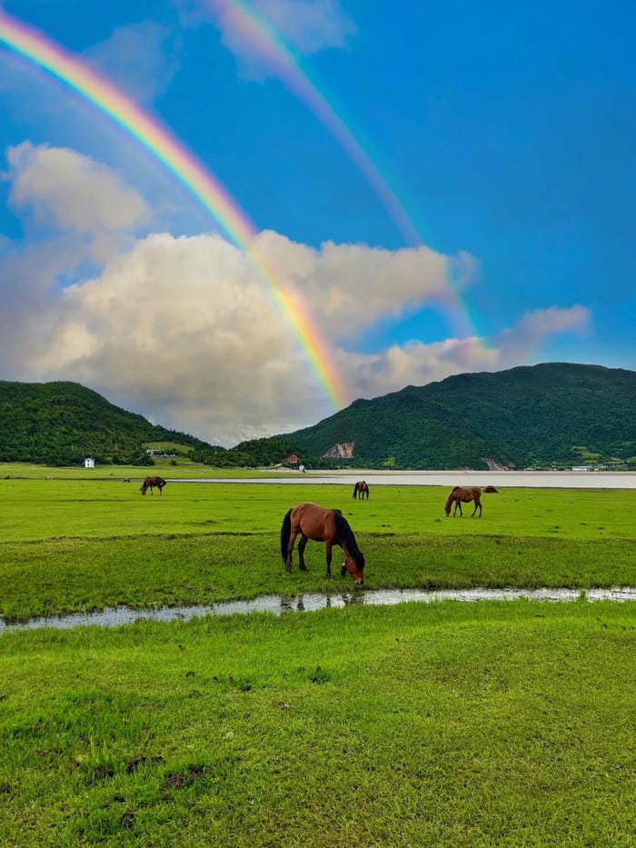 hình ảnh cầu vồng 11