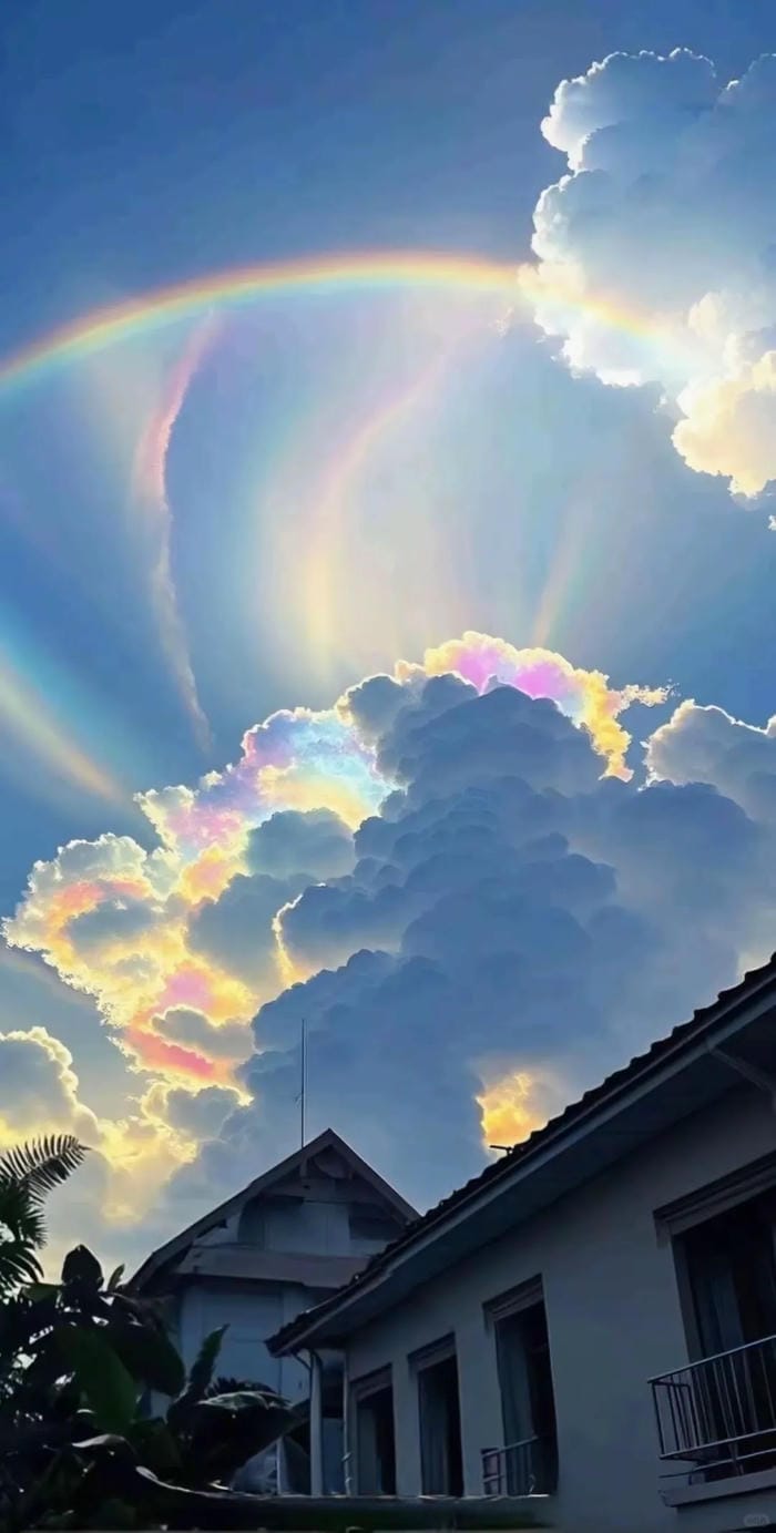 hình ảnh cầu vồng 14