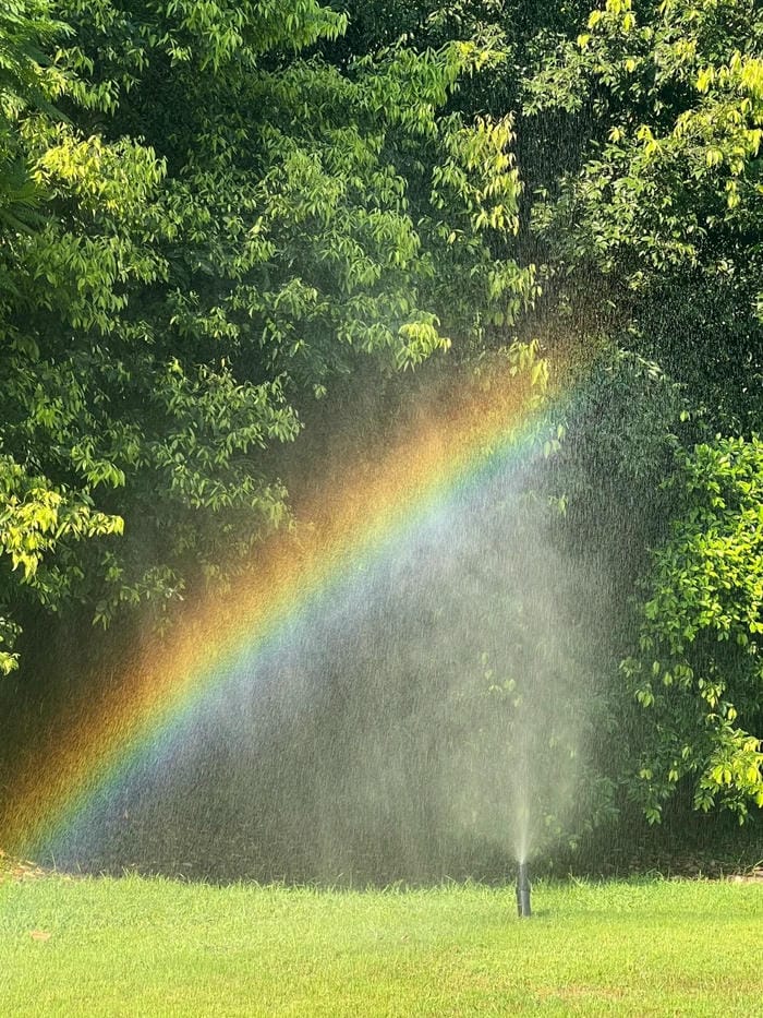 hình ảnh cầu vồng 19