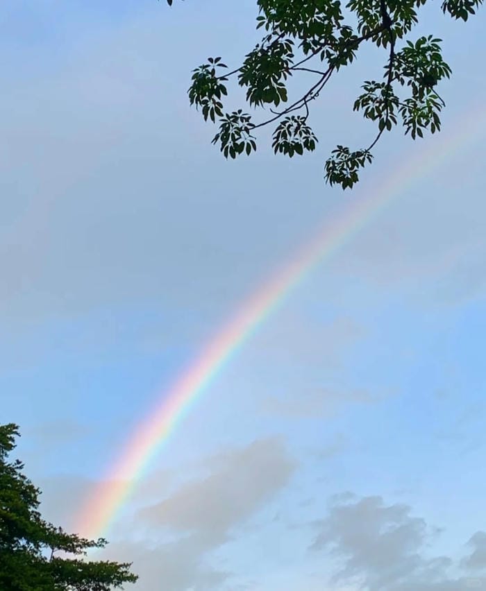 hình ảnh cầu vồng 2