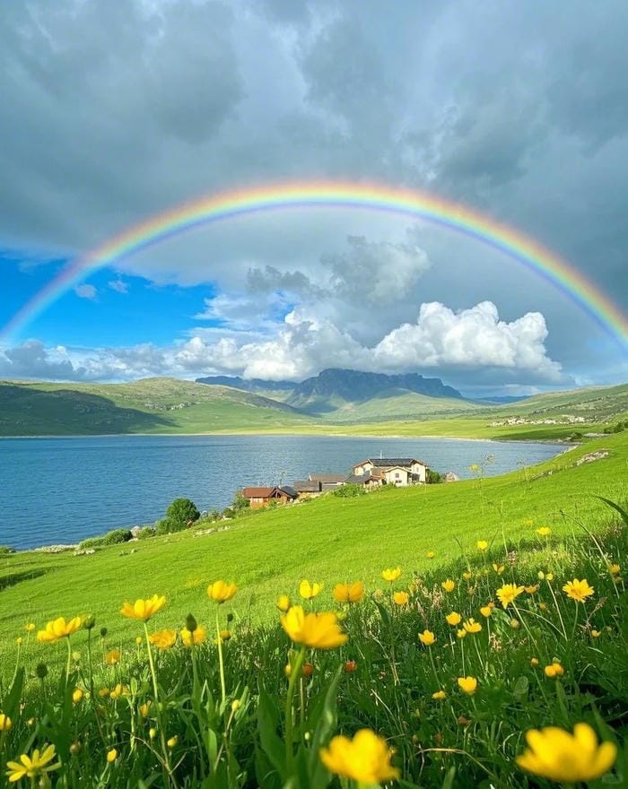 hình ảnh cầu vồng 24