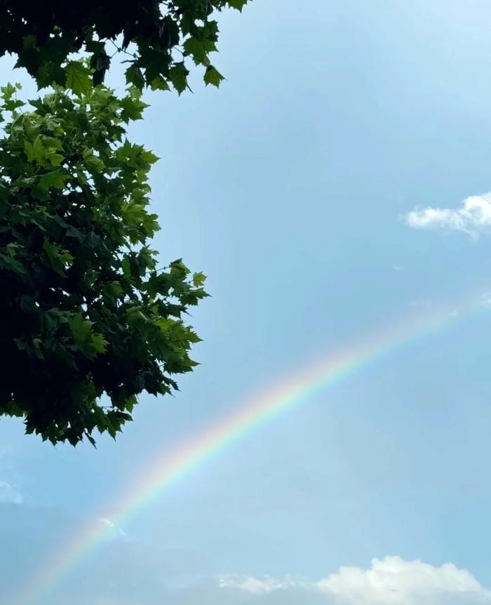 hình ảnh cầu vồng 3