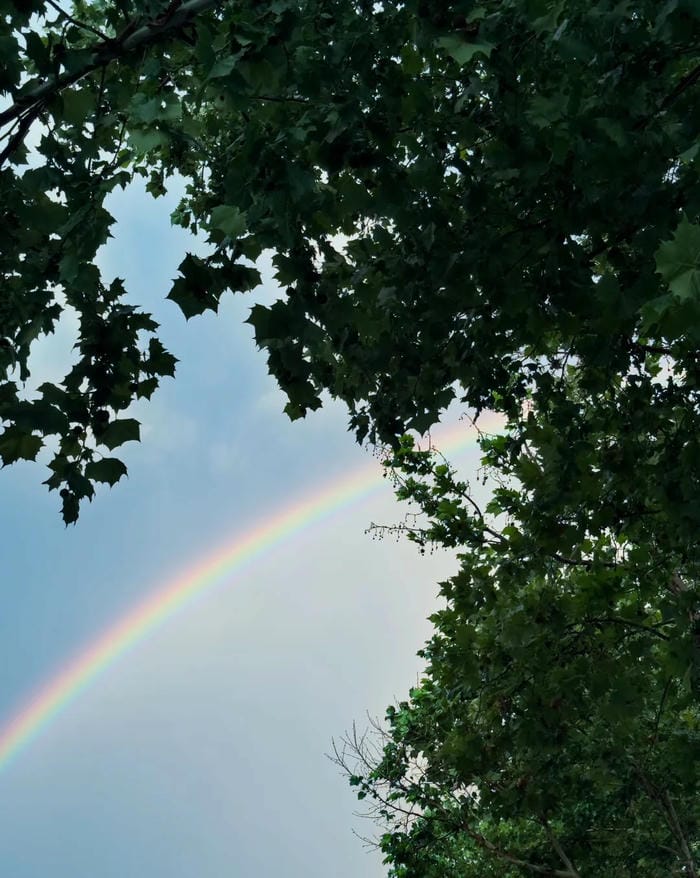 hình ảnh cầu vồng 4