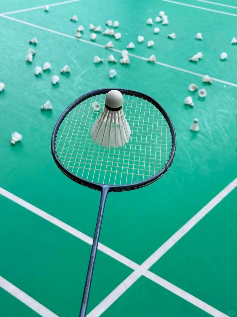 hình ảnh chơi cầu lông