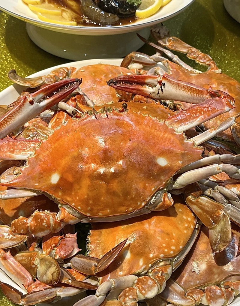 hình ảnh con cua 15