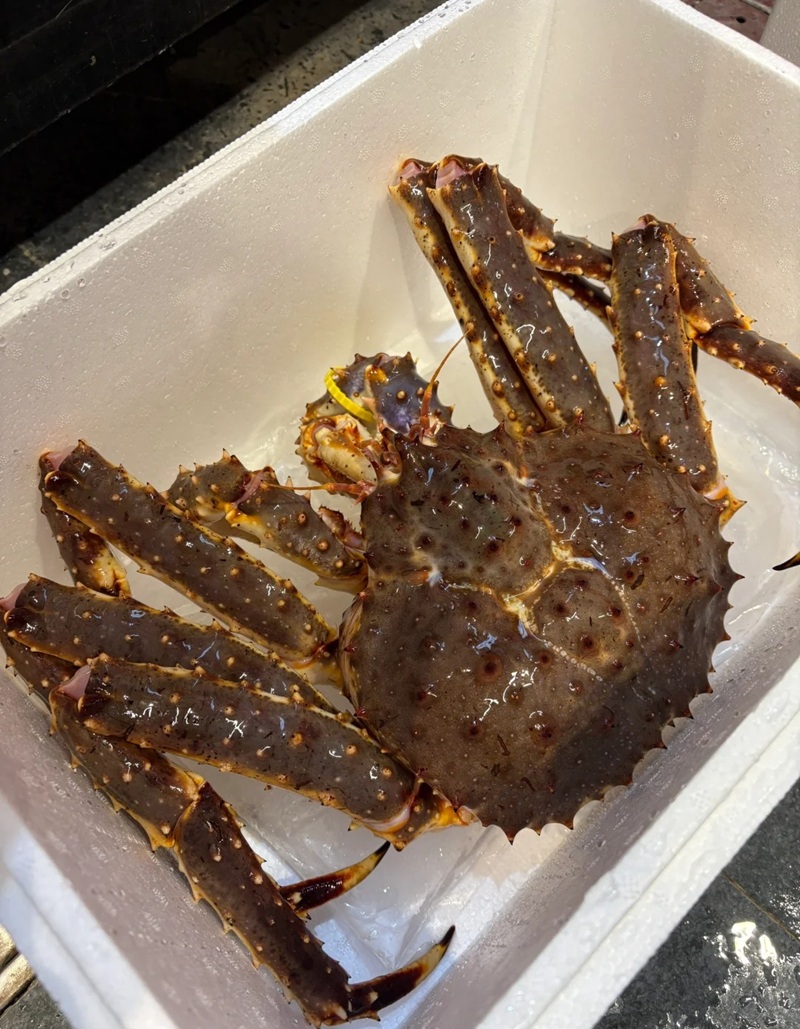 hình ảnh con cua 18