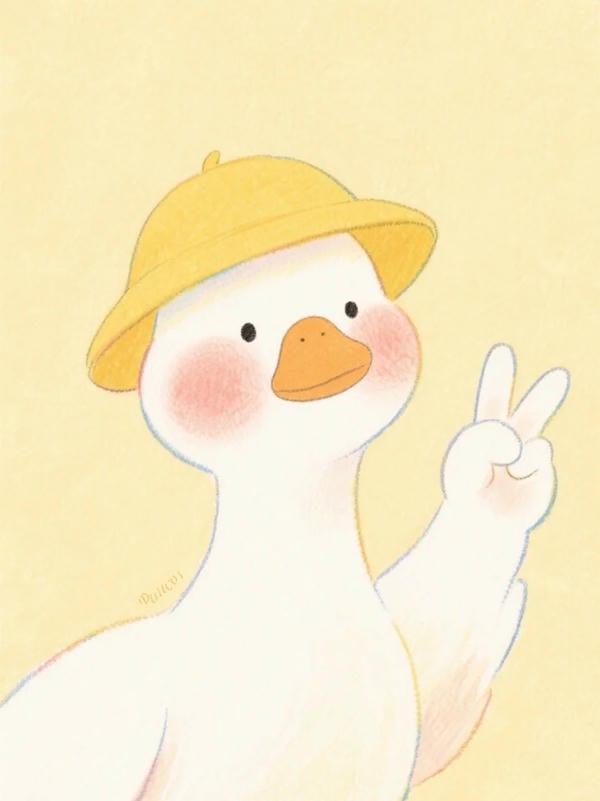 hình ảnh con vịt 14