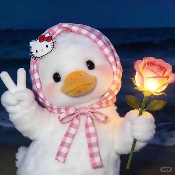 hình ảnh con vịt 27