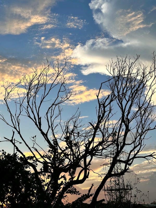 hình ảnh hoàng hôn cô đơn